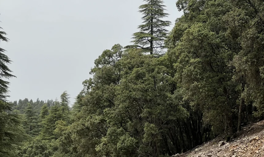 Top Sights You Can Discover on a Morocco Bike Tour