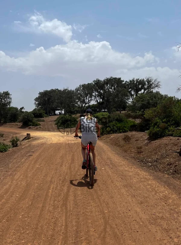 Riders riding through the forest trails of Benslimane.