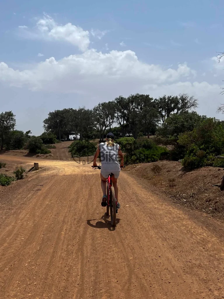 Riders riding through the forest trails of Benslimane.
