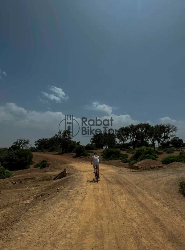Mountain bikers riding through the forest trails of Benslimane.