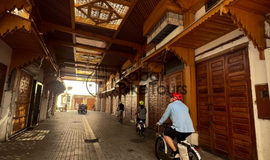 The Professional Difference: What to Expect on a Certified Tour